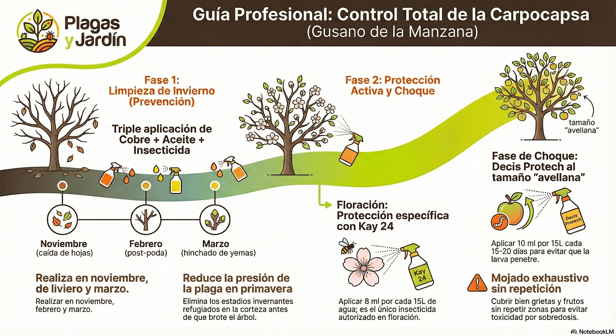 infografia mejor insecticida contra carpocapsa o gusano de la manzana